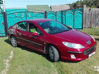 Peugeot 407 2, 0  2006 , 143 , ,  ,   2007,- , , ,  155 , ,  ,   95,    