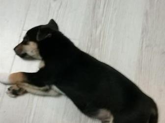     ,,   