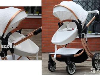    adamex zippy peg perego stokke  21 (     )!      