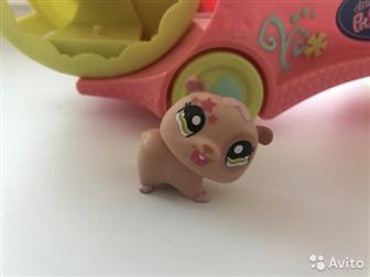   : /  