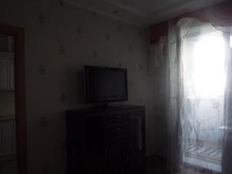 id: 49978019 1    ,      ,    -,     -,    