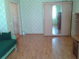 id: 49978041   (  ),  ,   ,  ,   ,        