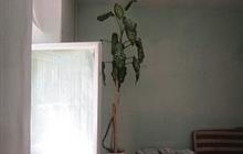 ������� 1 ��������� �� ��, ��������,26 ��� ����� �� ��������������� ����� � ���������