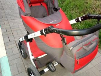   Expander Mondo Ecco 2  1   ,      ,   :   ,  4     