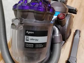       Dyson DC 29 Allergy   ,  ,  ,      / ,    