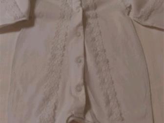   ,     ,       ,   : ,  ,  ,   