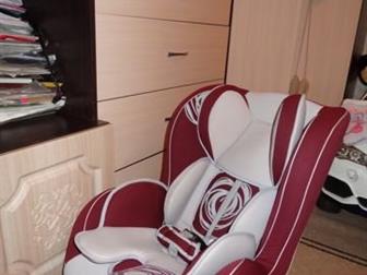  bertoni - ,   0 - 18 ,  3  , : /  