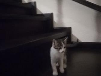  ,  1 , ,   ,  -