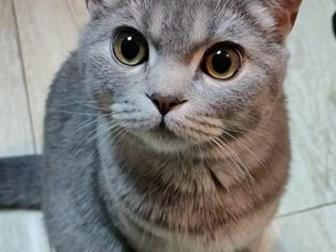  , , ,  ,     ,    ,         -