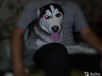  ,       ??       ,       ,  -