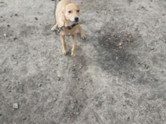    ,    4 ,  ,    ,      /,     