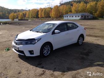 Toyota Corolla   !      Toyota ,     95 ,   ,  ,    -