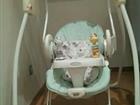  Graco Swing n Bounce 21