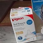     Pigeon