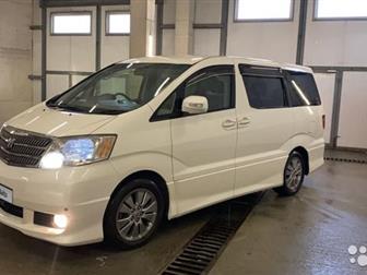 TOYOTA ALPHARD G MS  ,  ,     ,             ,   