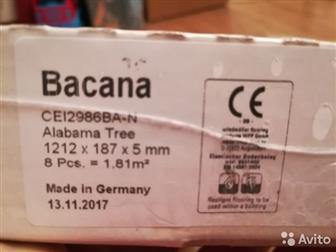      WINEO,  BACANA Alabama Tree 43   , 16   1,8 , ,     ,   2000 ,  