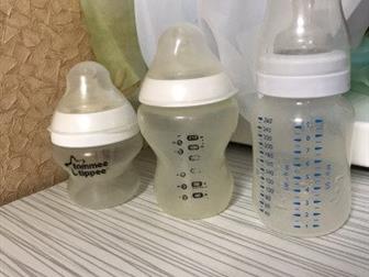  ,   Tommee Tippee   Avent,    ,  Tommee Tippee - 3  , 4    2  ,  Avent - 1  ,    