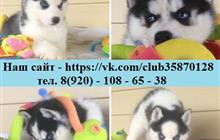 ����� ����� ������������ �����