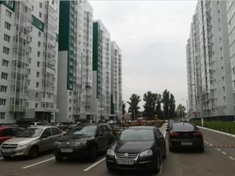      ,  ,  219/2,(1 )      2016,   100%  (  ,   