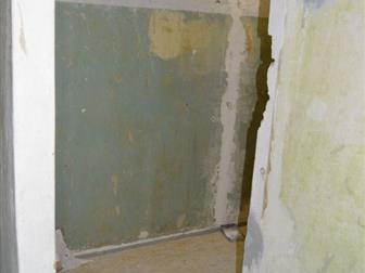  1     ,       ,         ,  