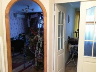   1981 ,  ,         43 ,  ,  ,  ,  ,  