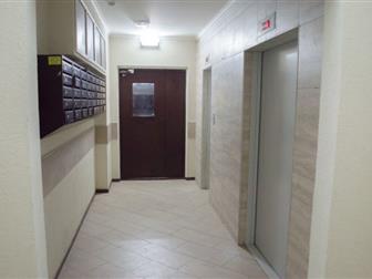  2 ,     ,    5       , 100%  -  ,    : ,  