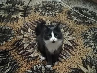     ,     , 1, 8 ,   , , , , ,   ,   