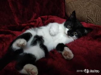 ,  2,   ,    ,   ,  