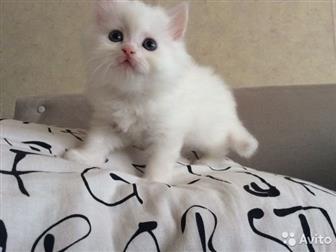       -,        ,   14 ,    ,   