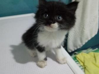 ,    ,      5 ,   ,  