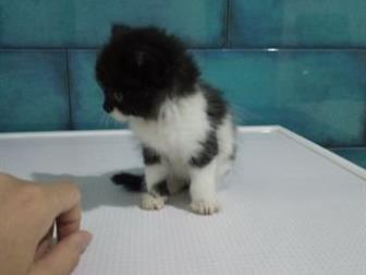  ,    ,      5 ,   ,  
