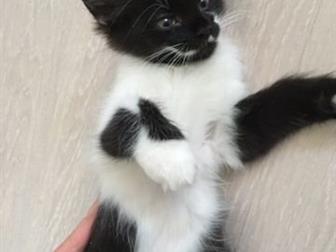  !  !     (    ,    ),     ,   ,  