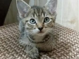     ,       ,   ,       ,    ,    ,  ,    