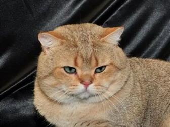 ,   ,  