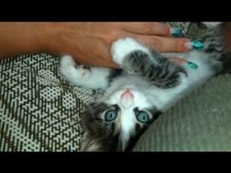  ,   ,   , 2 ,      !!!  ,     , , ,     