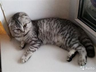  ,  :  1 ,  :  ,    ,    ,    ,      500  