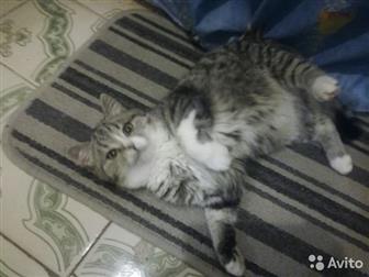       ,     ,     ,    ,      ,  ,  