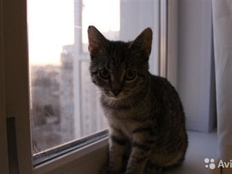       ,     ,         ,  ,      3-   