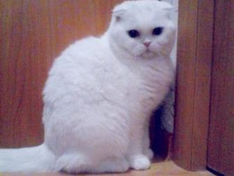    ,   , 11 ,  , ,   5 ,, ,      