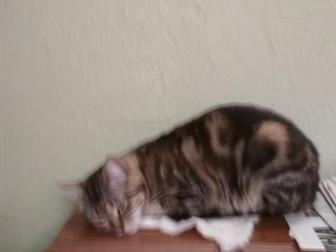  ,    ,   ,  ,   ,      ,   ,    ,    