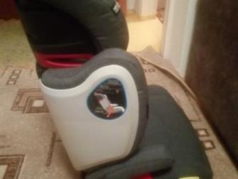  Welldon Magi Nacre      3   12 ,       3-  , :  